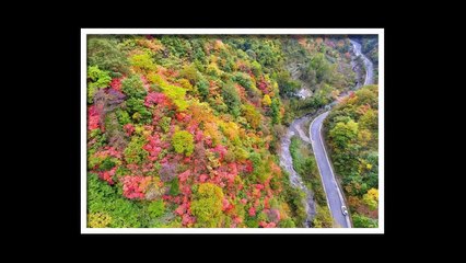 Photos beautiful autumn view could not to leave the eye