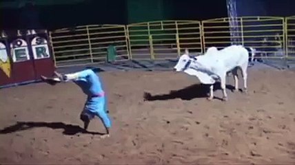 bull saving tricks