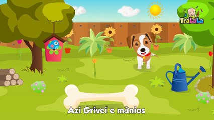 Azi grivei e manios TraLaLa