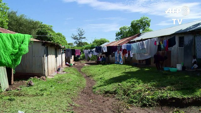Kenya's Catholics hope Pope will discuss HIV, condoms