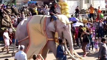 the largest parade of elephants