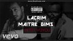 LACRIM feat MAITRE GIMS - Petit Voyou (Son Officiel)