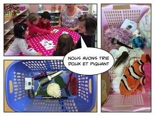 Ateliers du 16 au 20 novembre