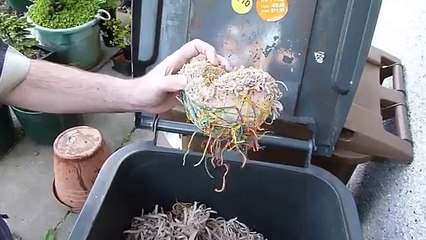 Cutting an Elastic Band Ball in Half