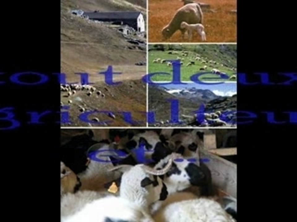 Montage sur la  ferme