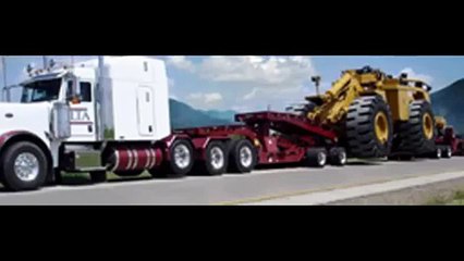 reliable auto shipping company in florida