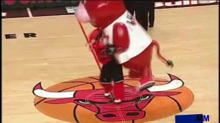 Best Funny Mascot Fights in History Compilation