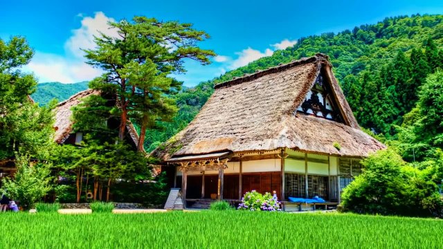 Ronnie Aldrich And His Two Pianos Greatest Hits