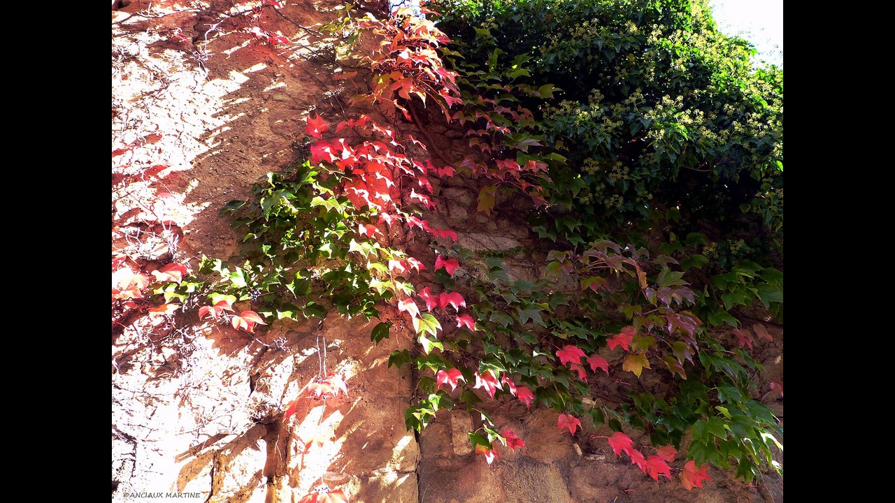 ©HD Mon Village Saint Laurent la Vernéde GARD photos&photopeintures Martine ANCIAUX créatricedelaphoto-peinture monde tv web©