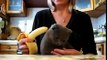 кошка очень любит есть бананы
