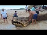 10 Most Mysterious Unidentified Creatures Found