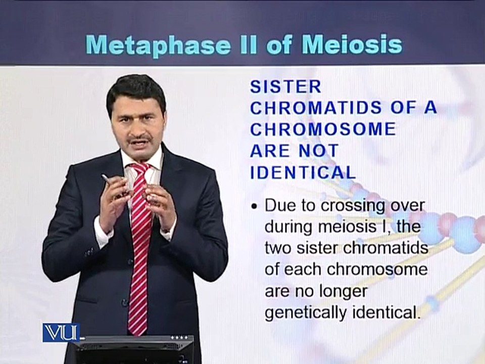 BIO301_Topic069