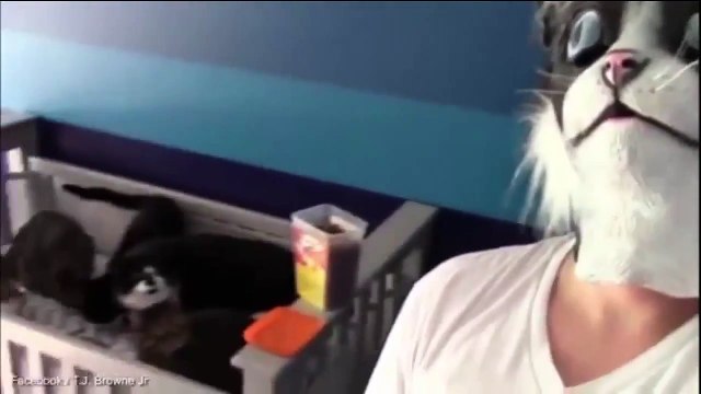 Buzz : Il terrifie ses chats avec un masque de ... chat !