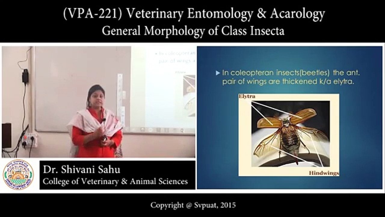 MBC Online Vet Tech Review 3.2 - Parasitology I