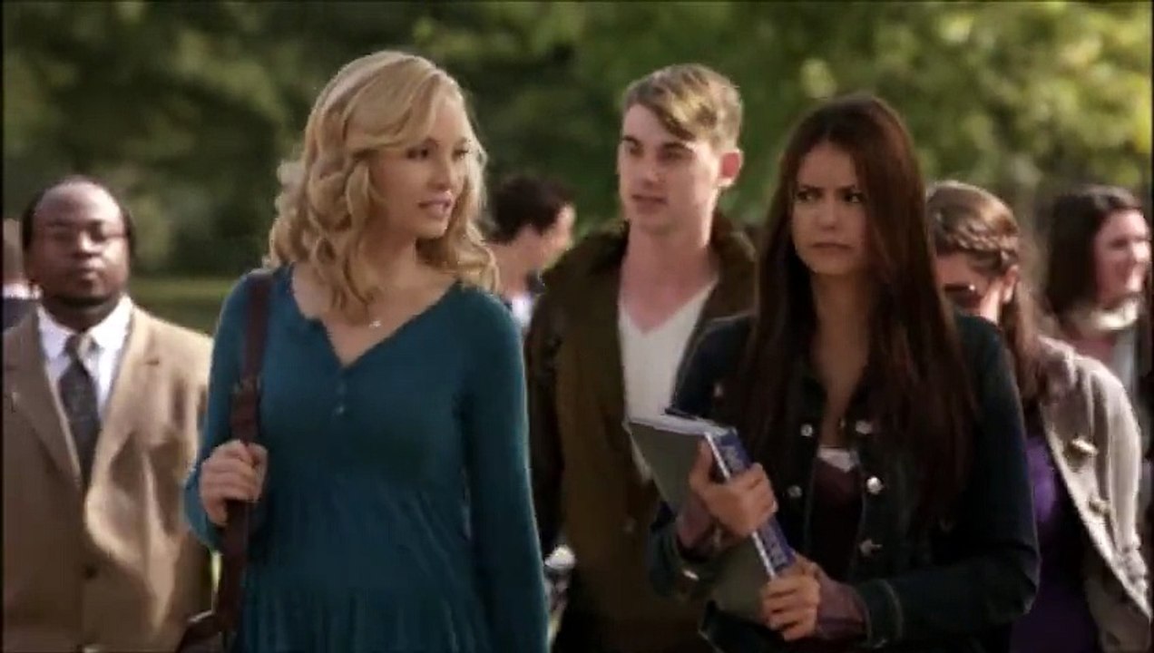 stelena story 8