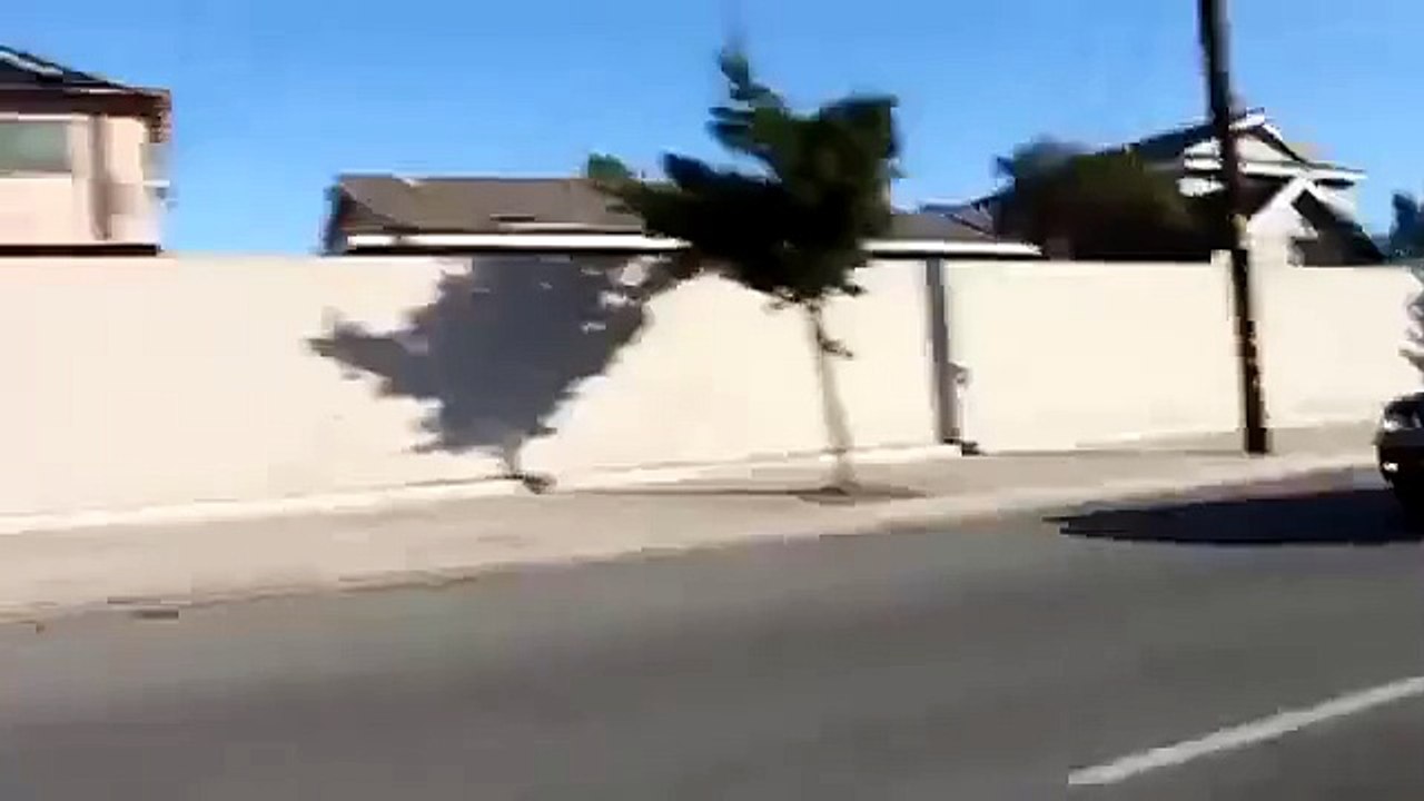 BMW nin inanılmaz rengi