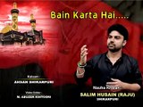 03-Bain Karta Hai Sabbir Ka Sar   Salim Husain Raju Shikarpur   Dastan e Karbala 1437 2015 16