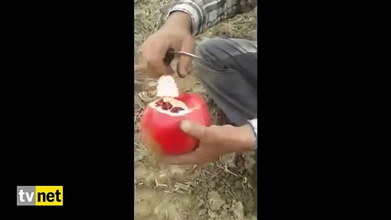 Nar Nasıl Soyulur