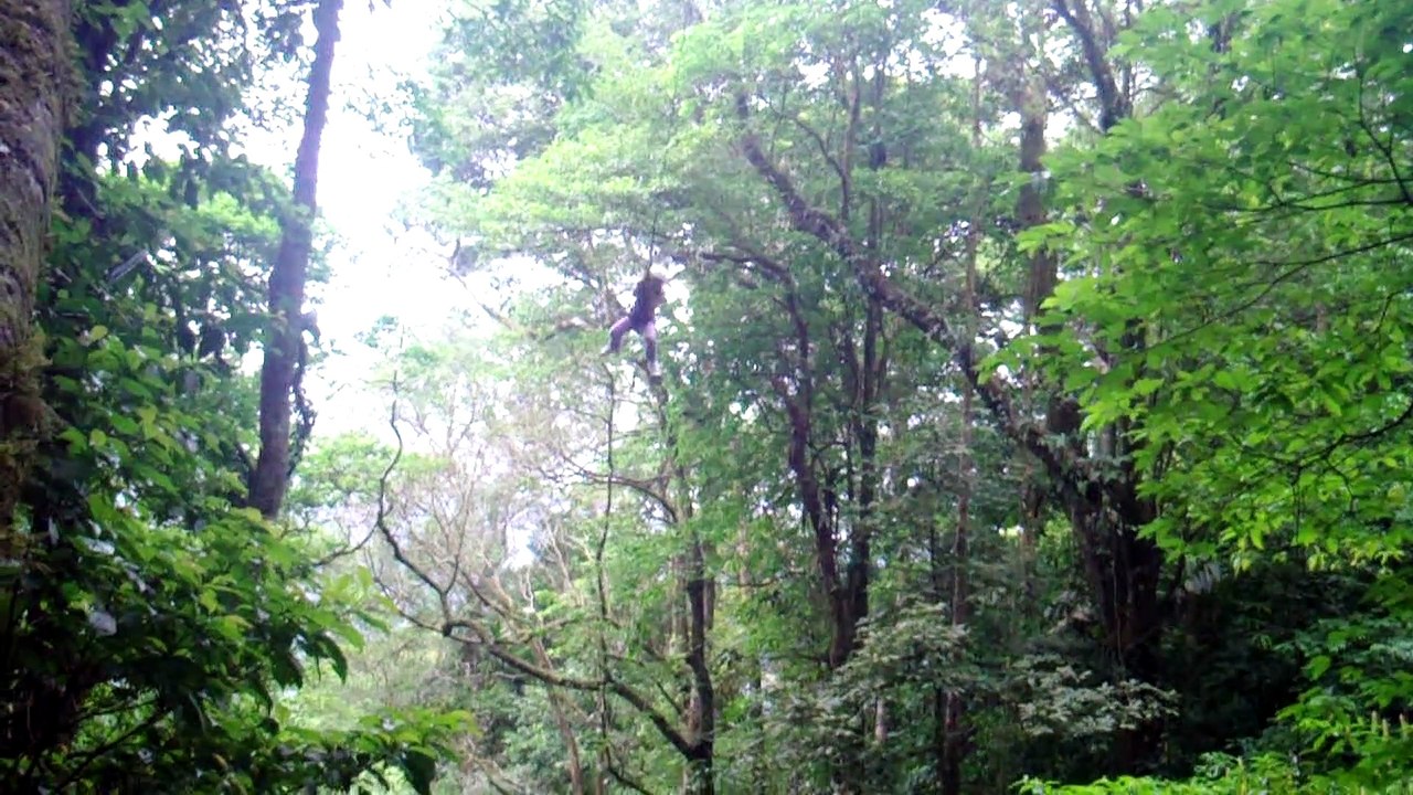 סרטון בת מצווה לתמר