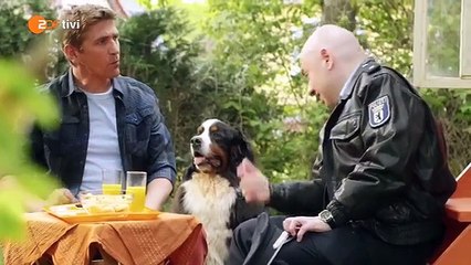 Löwenzahn: Classic & New Episodes 🎶