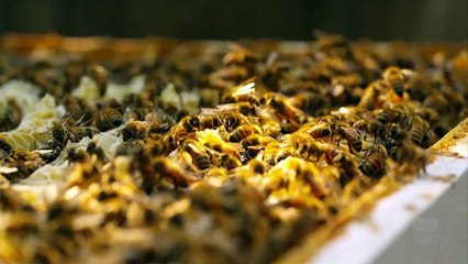 The Search for God Ends Here [Part-2]