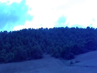 An algerian forest. غابة جزائرية