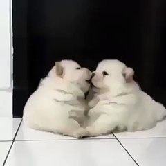 hanging out with bea like !