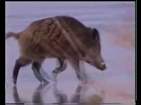 Плющенко уже не тот...