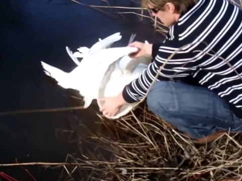 И такое бывает