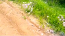 Не зря подошла к людям. Смотреть всем