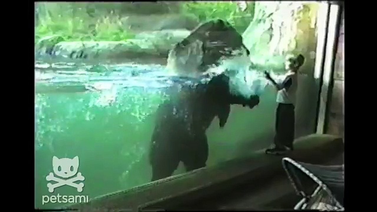 admirable !