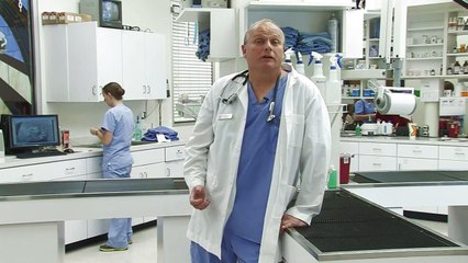 Digital Chest X-ray Of Dog, Smithfield Road Veterinary Hospital, PLLC, Knightdale, N.C.