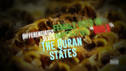 How the fundamentals of Islam shape human behaviour