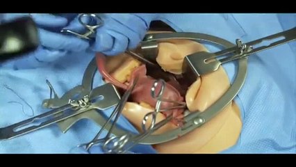 Surgical Chloe™ S2100 Full-body Surgical Simulator