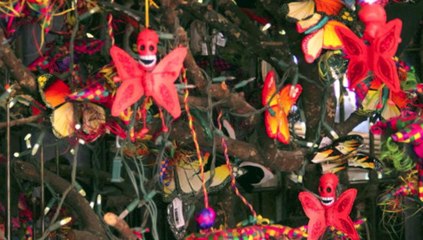 Nocybb110 - 52 - Tous derrière les Pierres 1