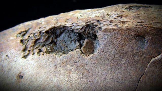 GLADIATORS - BACK FROM THE DEAD (2010) - Docu-Drama