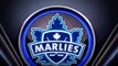 The Future Is Bright! : Toronto Marlies 1st Dozen 2015 16 Games Highlights
