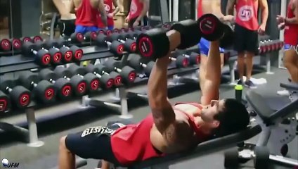 Aesthetic Bodybuilding Motivation - Training Everyday 2015