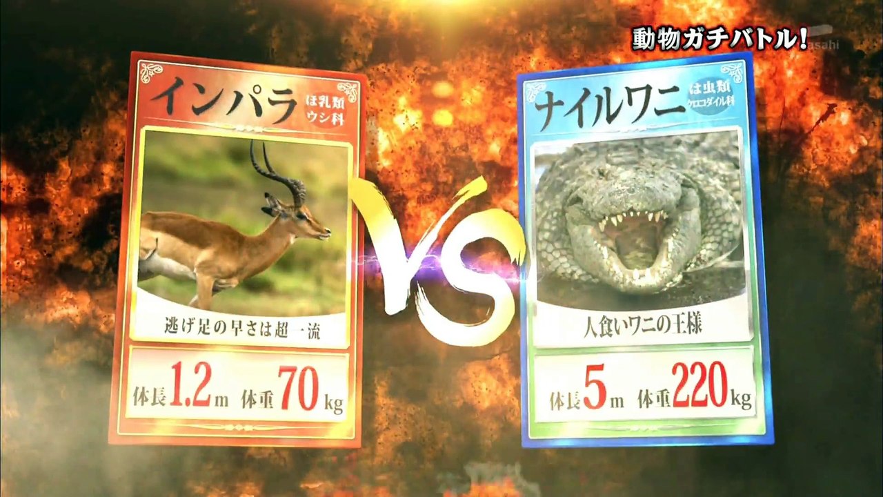 トリハダ　動物ガチバトル！