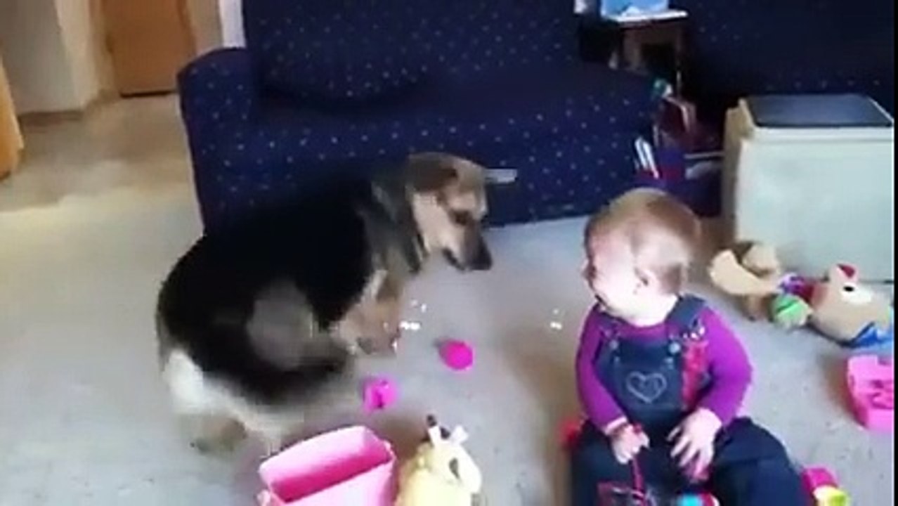 hahahahah must watch can't stop laughing