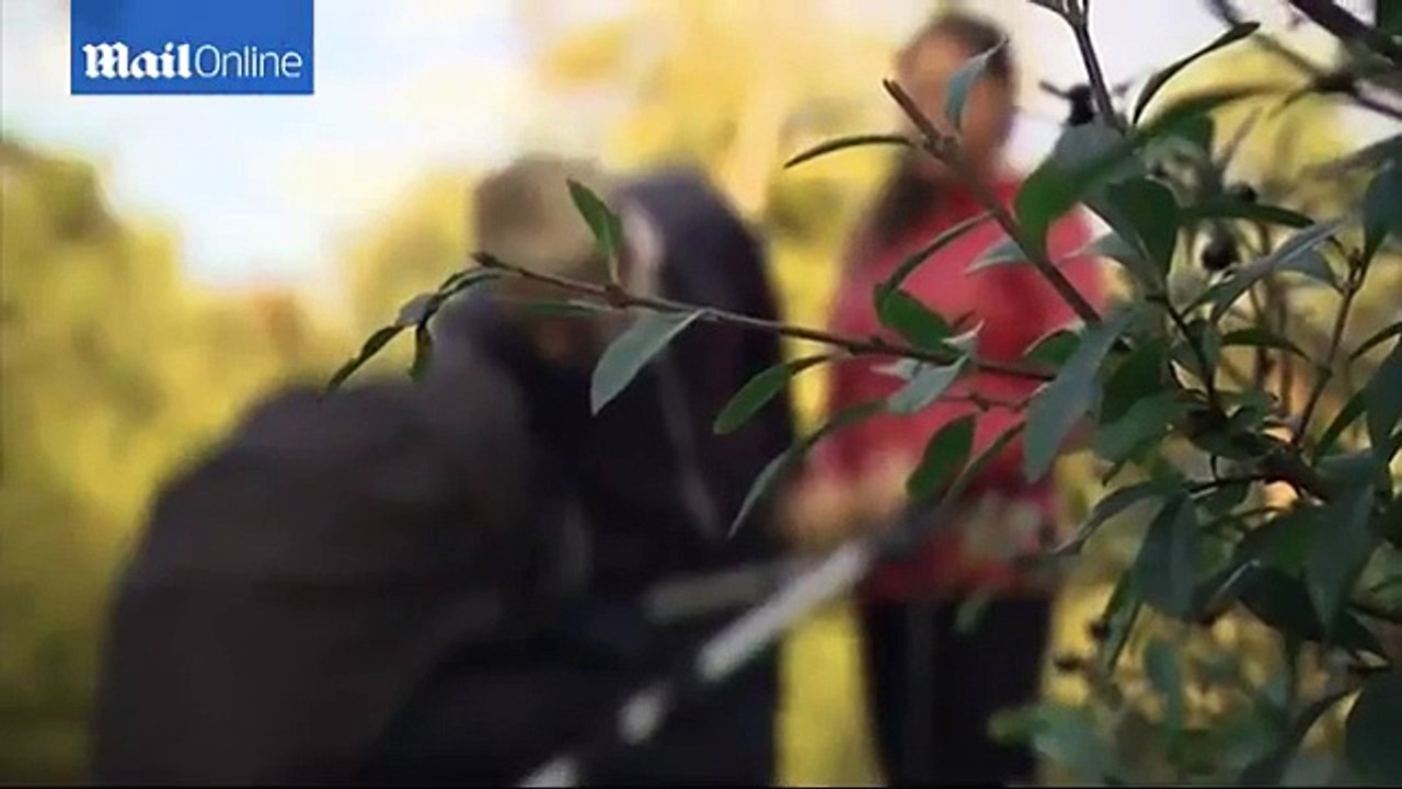 Boy Born To Swedish Mother Who Originally Didnt...