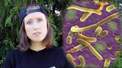 Why Other People’s Farts Smell Worse