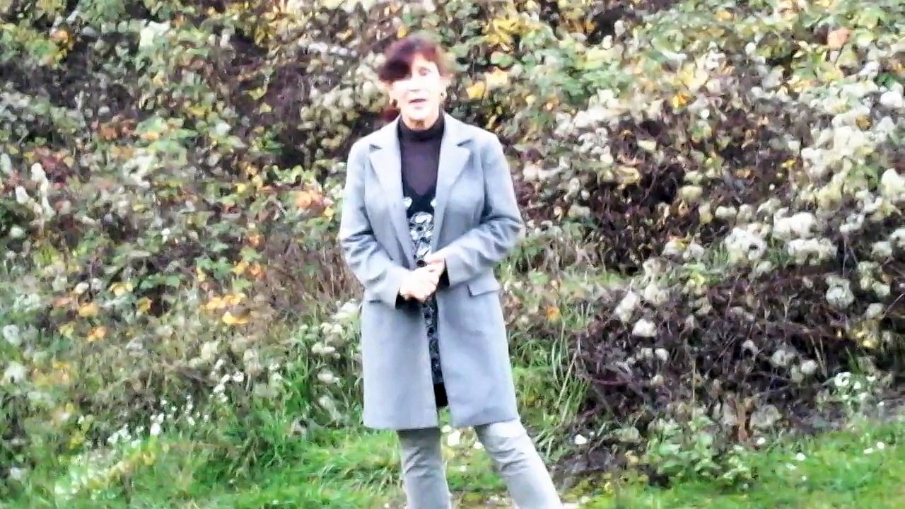 ne soyez pas négatif