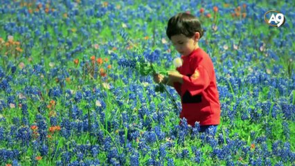 Allah'ın Renk Sanatı