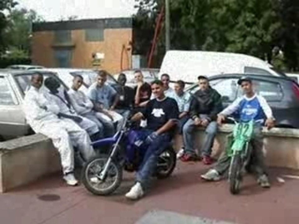 Luth zooo(1)(1)