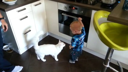 Un chat empêche un enfant de toucher au four! Trop mignon...