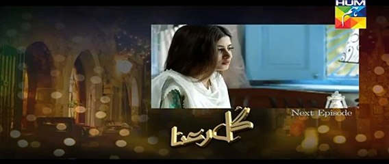 Gul-e-Rana Episode 4 promo on Hum Tv - 21st November 2015
