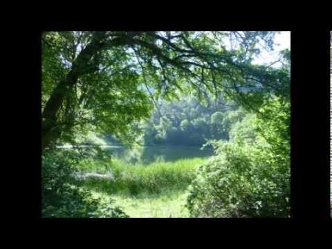 Terk Ettim Köyümü Yar Senin Olsun