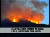 Zjarret djegin ullishta dhe pyje - Vizion Plus - News - Lajme