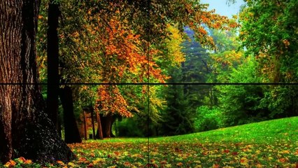 Jesień w fotografii